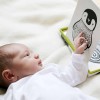 Kontrastinės kortelės kūdikiams | Įvairūs gyvūnai